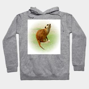 Meerkat Hoodie